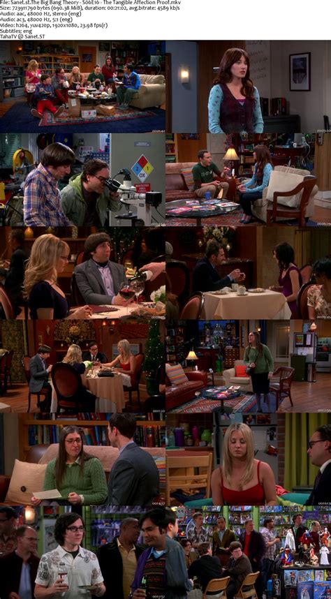 The Big Bang Theory S06 1080p Bluray X264 Jlw Softarchive