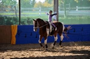 Play laura lindemann on soundcloud and discover followers on soundcloud | stream tracks, albums, playlists on desktop and mobile. Tarzan, Piraten, Dschungeltiere und der Schuh des Manitou ...