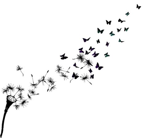 Download Free Butterfly Tattoo Sleeve Dandelion Common Floating Drawing