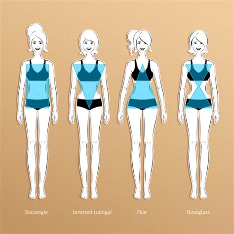 Female Body Types — Stock Vector © Sonya Illustration 51117093