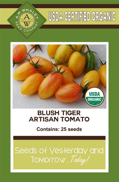 Artisan Blush Tiger Tomato Seed Ct Packet Etsy