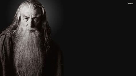 Albus Dumbledore Wallpapers Top Free Albus Dumbledore Backgrounds