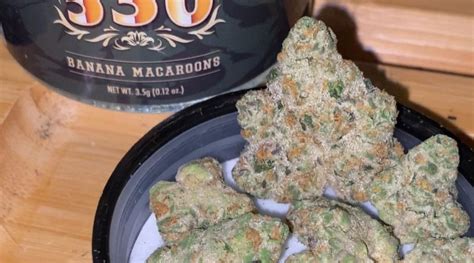 Strain Review Banana Macaroons By 530 Grower The Highest Critic
