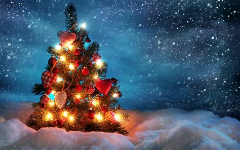 Beautiful Christmas Tree Wallpapers Hd Wallpapers Id 10584