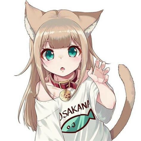 Cute Catgirl Animecuteness