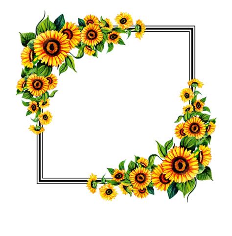 Free Png Floral Frame Sunflower Clip Art Library