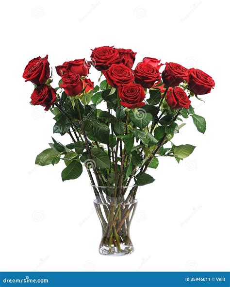 Bunch Of Red Roses Stock Image Image Of Copyspace Beautiful 35946011