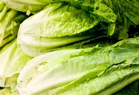 E Coli Outbreak Linked To Romaine Lettuce Grows To 84 Cases