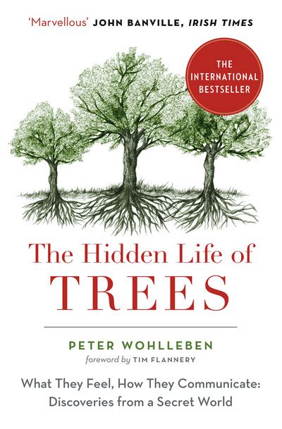 The Hidden Life Of Trees Book Haus Bristol
