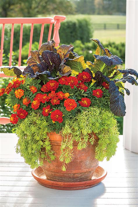 24 Fall Flowers For A Gorgeous Autumn Garden Southern Living
