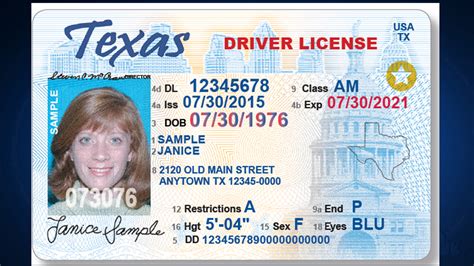 Drivers License Drivers License Pictures Id Card Temp