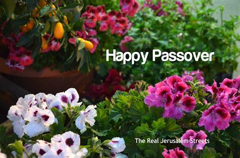 Happy Passover And Shabbat Shalom The Real Jerusalem Streets
