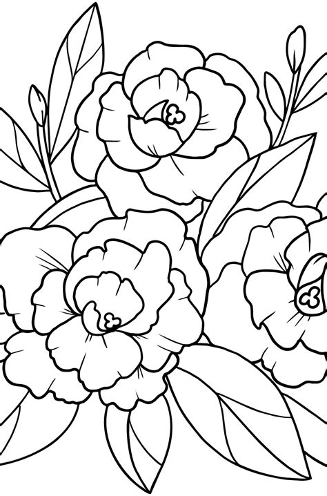 Peony Flower Line Drawing Sketch Coloring Page