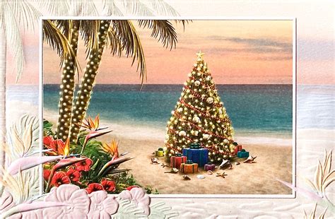 65 Tropical Christmas Wallpaper On Wallpapersafari