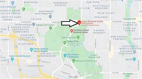 Tree trimming tree removal service company la orange county oc. Where is Desert Botanical Garden? Is the Desert Botanical ...