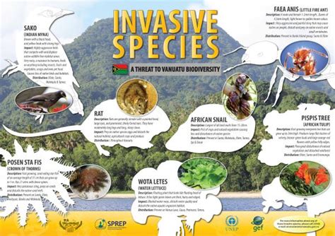 Invasive Species A Threat To Vanuatu Battler Resource Base