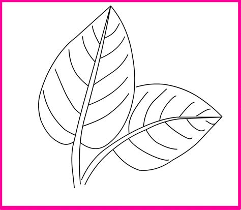 Leaf Coloring Pages Printable Activity Shelter