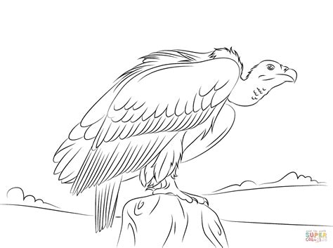 Free printable vulture coloring pages. Long Billed Indian Vulture coloring page | Free Printable ...