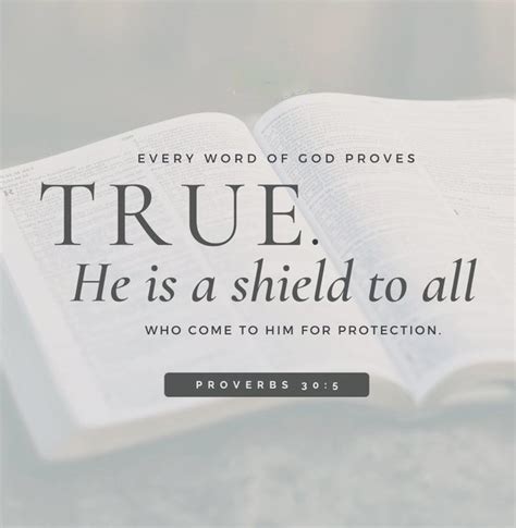 The Living — Proverbs 305 Nlt Every Word Of God Proves