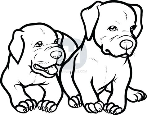 Puppy Drawing Images Free Download On Clipartmag