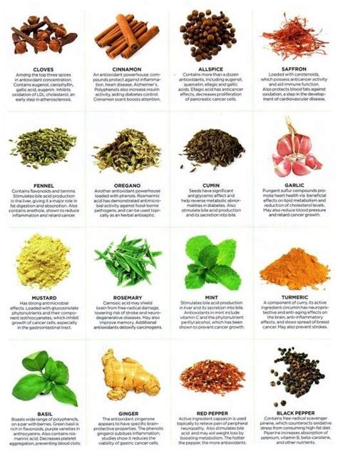 The Top 10 Super Spices That Protect Your Body Wozz Kitchen