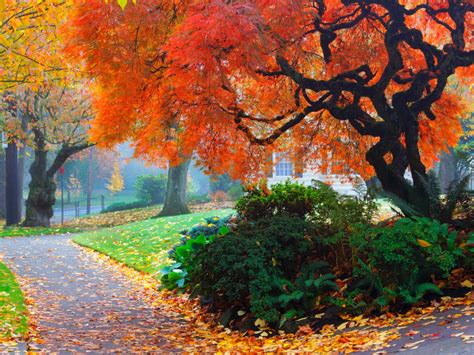 Amazing Color For The Fall Landscape Landscaping Ideas