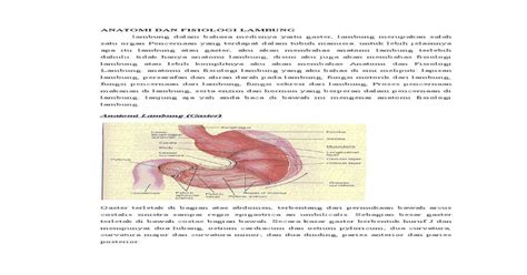 Anatomi Dan Fisiologi Gaster [pdf Document]