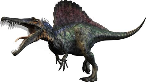 Spinosaurus Dinosaur Wiki Fandom Powered By Wikia