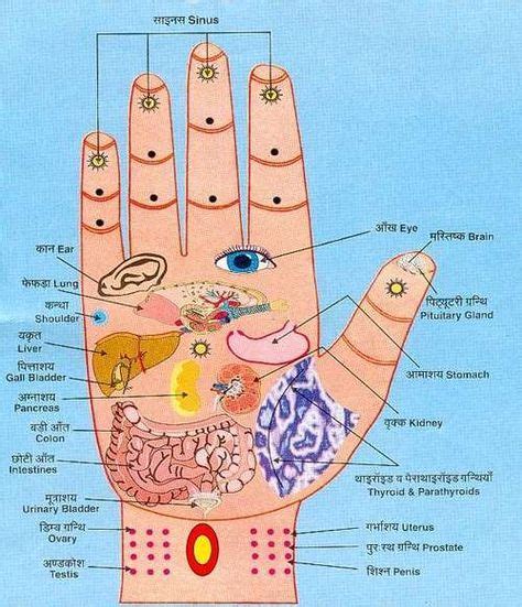 Pavlog Reflexology Acupressure Hand Reflexology