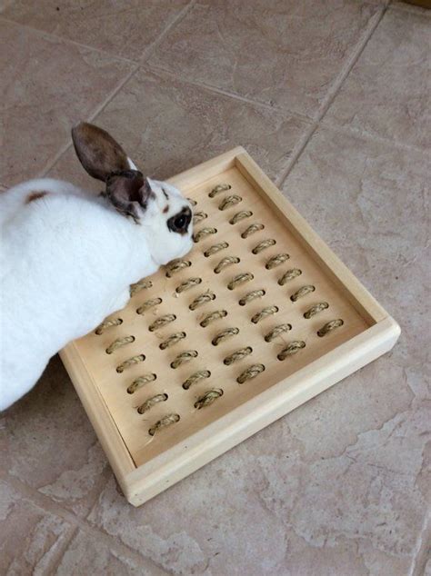 Bunny Rabbit Sisal Digging Box Diy Bunny Toys Bunny Room Indoor Rabbit
