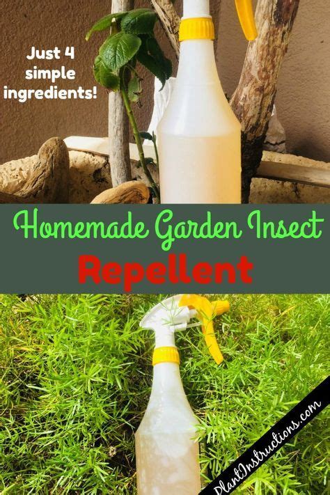 We did not find results for: Homemade Garden Insect Repellent | Garden insect repellent, Garden insects, Organic insect repellent