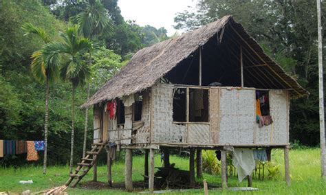 Tribal Living In Papua New Guinea Australia