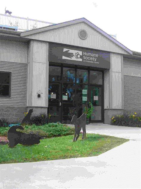 Humane Society Of Chittenden County Inc Guidestar Profile