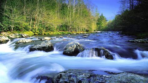 Free Photo Fast Flowing River Creek Nature River Free Download