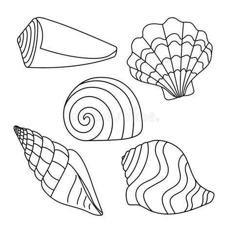 Outline Art Outline Drawings Line Art Drawings Shell Drawing Wave
