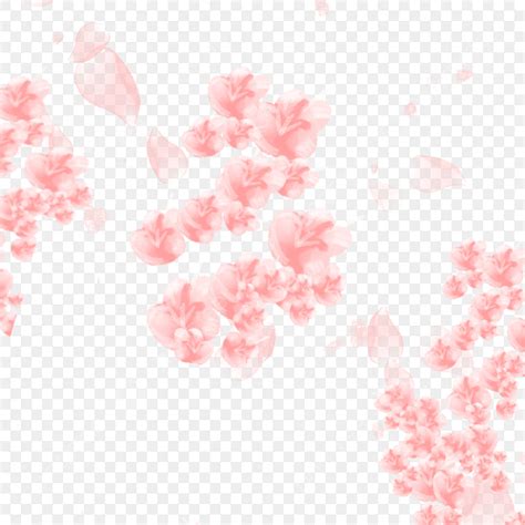 Sakura Petals PNG Image Flying Sakura Flower Petals Petals Pink Cherry Blossom PNG Image For