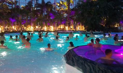 At therme bucurești, nature meets man in the most. Therme - vacanța ta tropicală lângă București - Coltisor ...