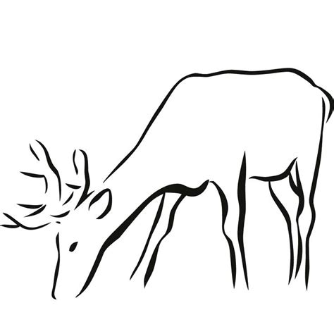 Deer Drawing Pics Free Download On Clipartmag