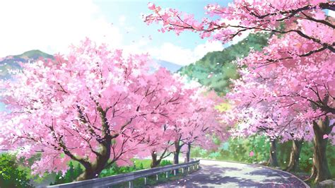 Anime Wallpaper Cherry Blossom