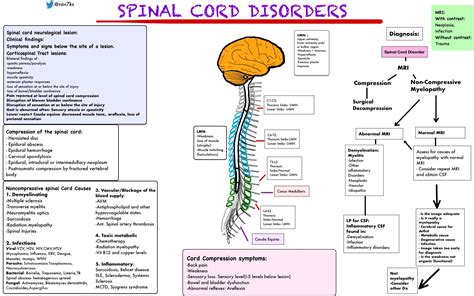 Spinal Cord Disorders Differential Diagnosis Compression Grepmed
