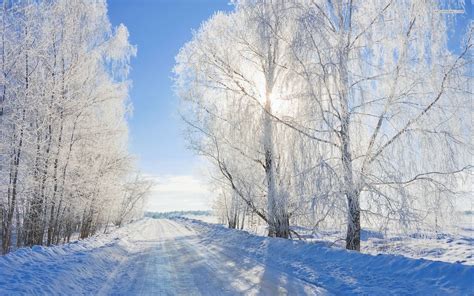 Daytime Winter Wallpapers Wallpaper Cave