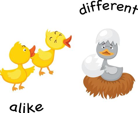 Opposite Alike And Different Vector Illustration 3240090 Vector Art At