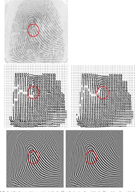 Figure 5 From A Review On Fingerprint Orientation Estimation Semantic