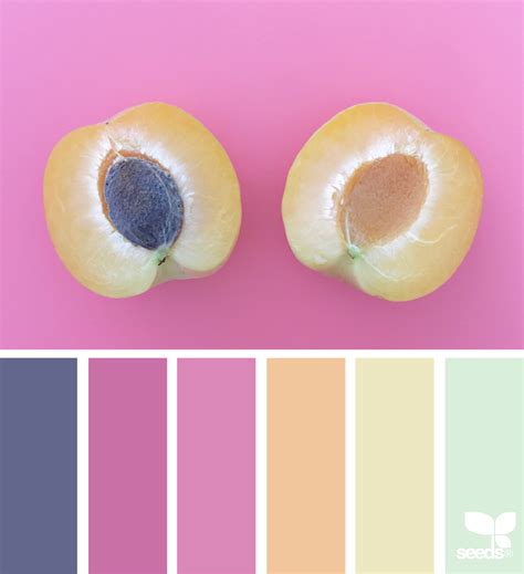 Colors featured in this palette are as follows: Color Fruit | Seeds color palette, Design seeds, Design ...