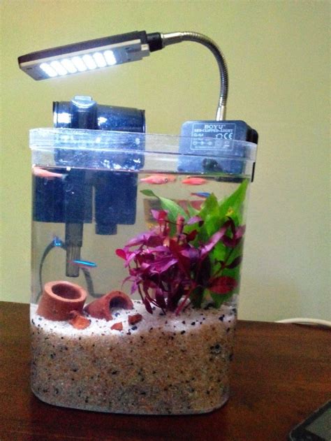 Akuarium ini sangat bagus untuk pemula karena ukurannya yang kecil, relatif murah (ideal untuk mereka yang memiliki anggaran terbatas), dan juga bisa menjadi. Gambar Hiasan Akuarium Kecil yang Unik dan Cantik Sekarang Ini