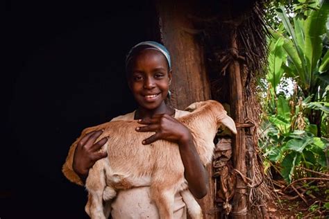 Wolayta Girl Ethiopia Rod Waddington Flickr