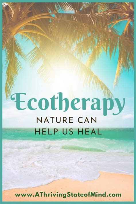 Ecotherapy How Nature Can Help Us Heal A Thriving State Of Mind