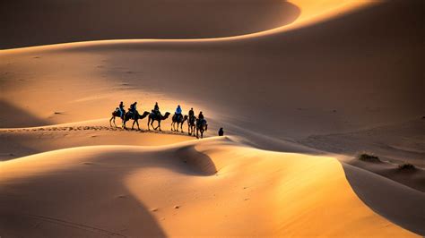 Desert Of Dreams How To Experience The Sahara Lonely Planet Lonely