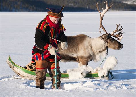 Sami And Reindeer Lapland Findland Schwedenstube Dein Portal Für