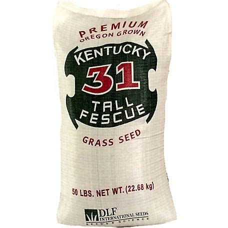 DLF Kentucky 31 Tall Fescue Grass Seed 50 Lb 216AX0005UC 50 At